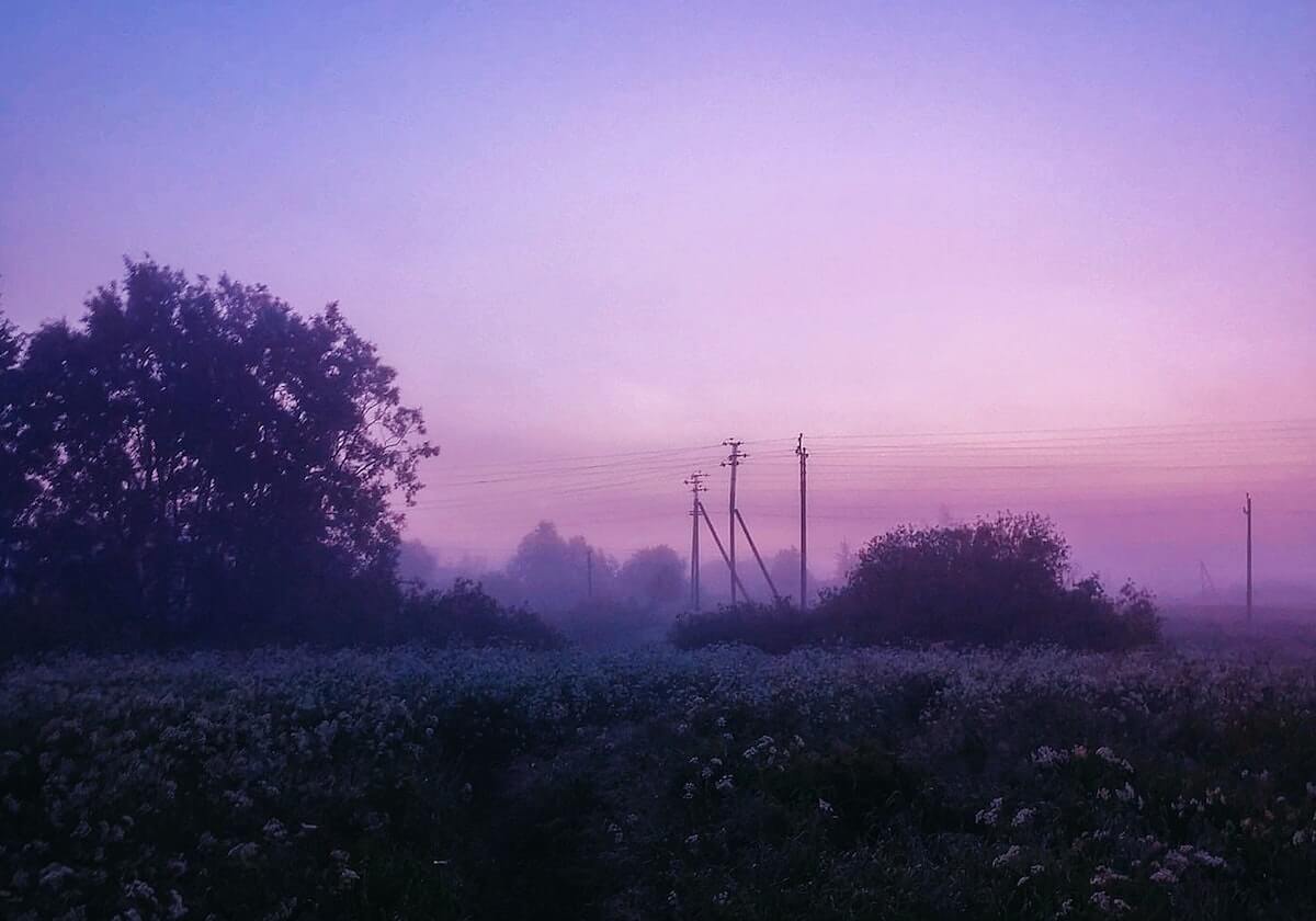 柚子影视的一页讲义：主题情绪词密度，我用从数据看结论写清楚